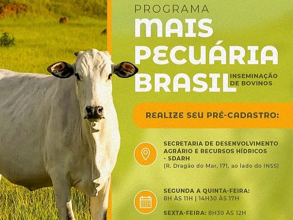 Pequenos criadores receberão inseminação de bovinos gratuita para melhoria dos rebanhos
